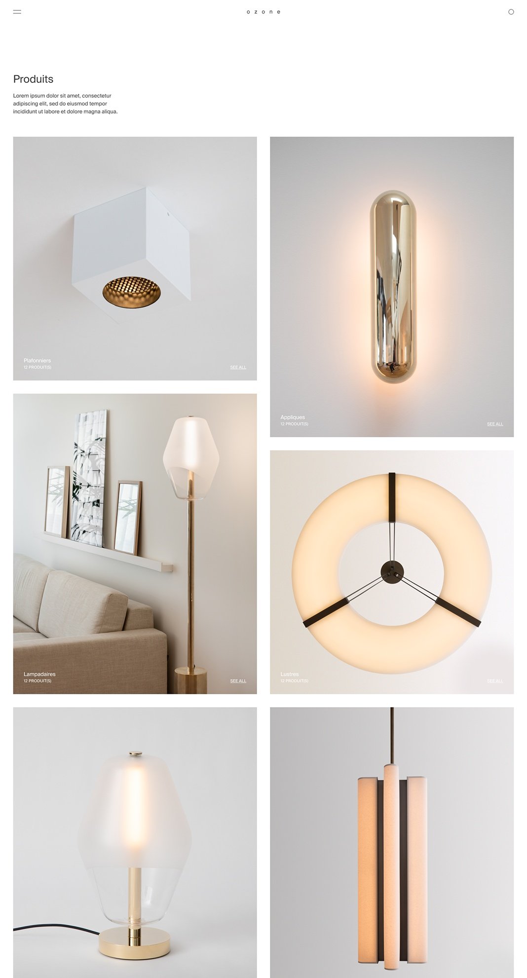 Ozone Light. Page Produits sur ordinateur : la grille présente les catégories Plafonniers, Appliques, Lampadaires et Lustres, chacune avec son nombre de références.